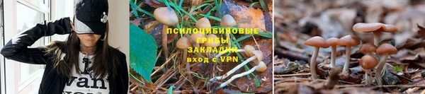 не бодяженный Верея