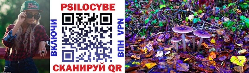 Псилоцибиновые грибы Magic Shrooms  Верхнеуральск 
